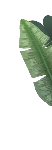 hoja-3