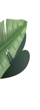 hoja-4